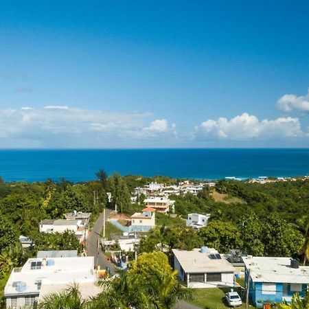 Casita 3 At Ceiba Tree Inn. Tranquility With Garden Views And Pergola With Ocean Overlook 林康 外观 照片