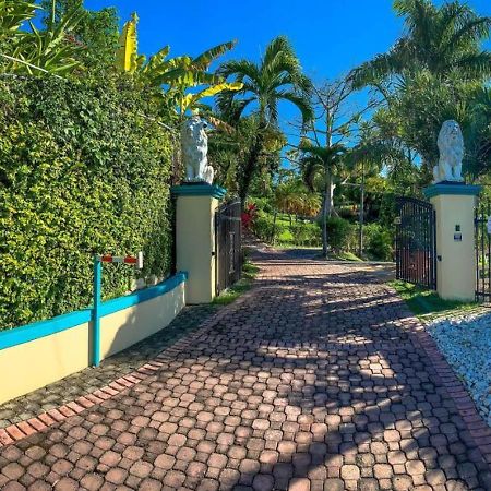 Casita 3 At Ceiba Tree Inn. Tranquility With Garden Views And Pergola With Ocean Overlook 林康 外观 照片