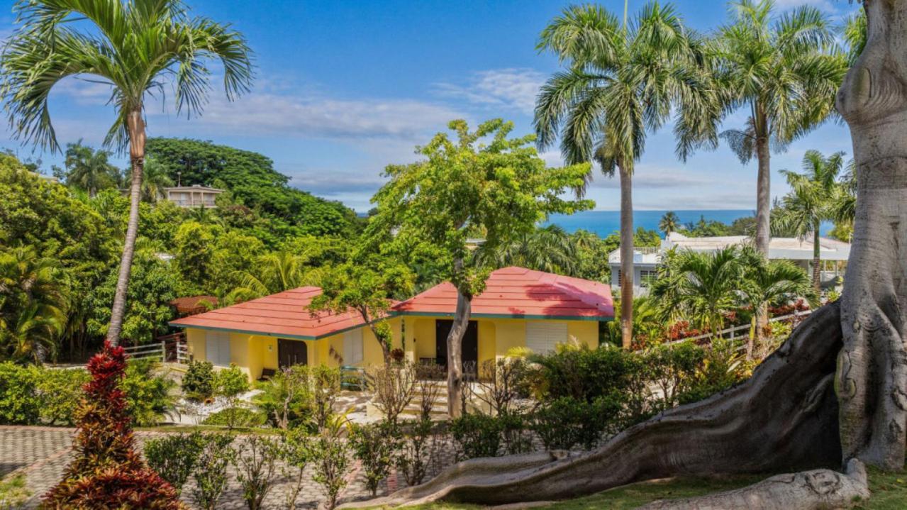 Casita 3 At Ceiba Tree Inn. Tranquility With Garden Views And Pergola With Ocean Overlook 林康 外观 照片