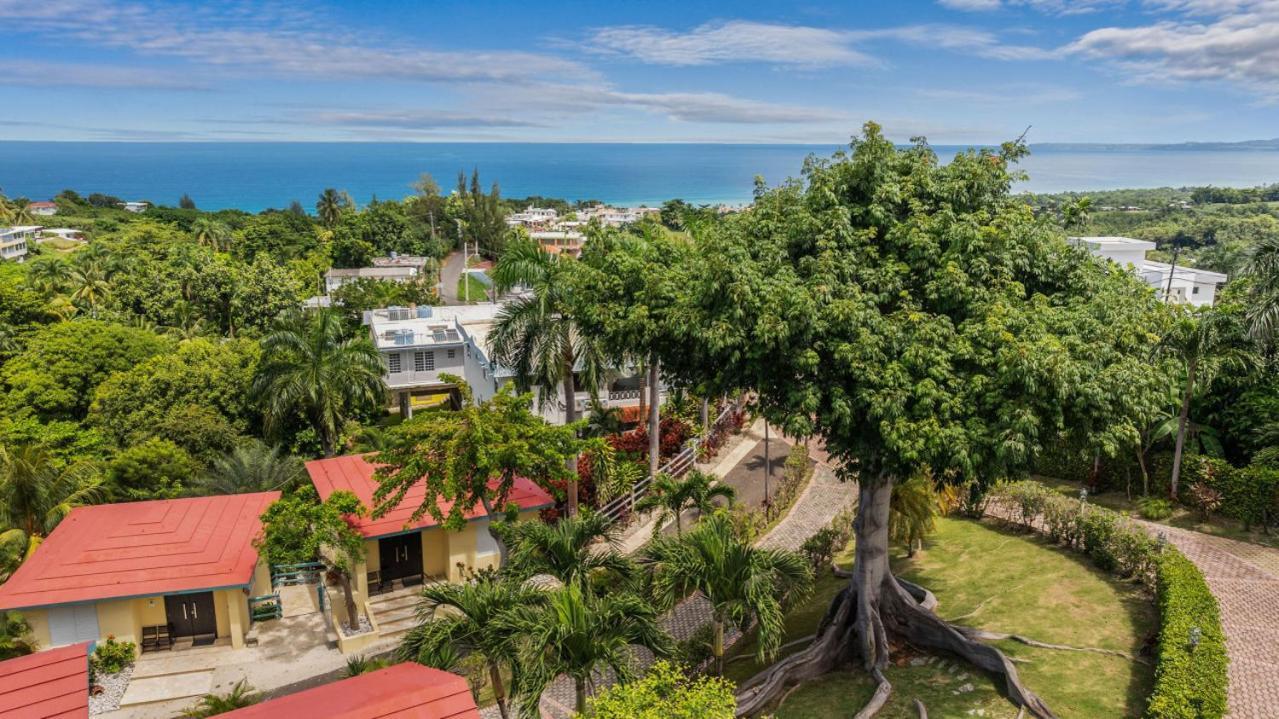 Casita 3 At Ceiba Tree Inn. Tranquility With Garden Views And Pergola With Ocean Overlook 林康 外观 照片