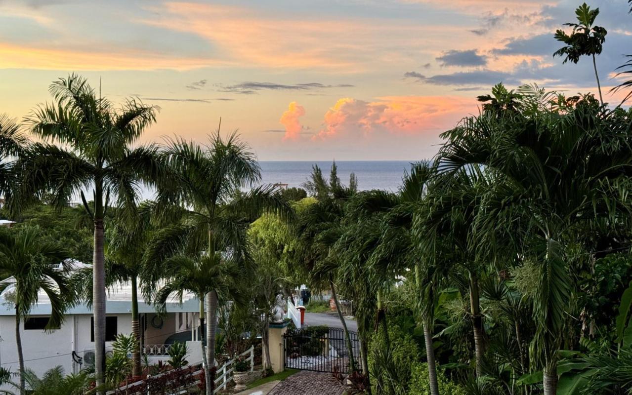 Casita 3 At Ceiba Tree Inn. Tranquility With Garden Views And Pergola With Ocean Overlook 林康 外观 照片