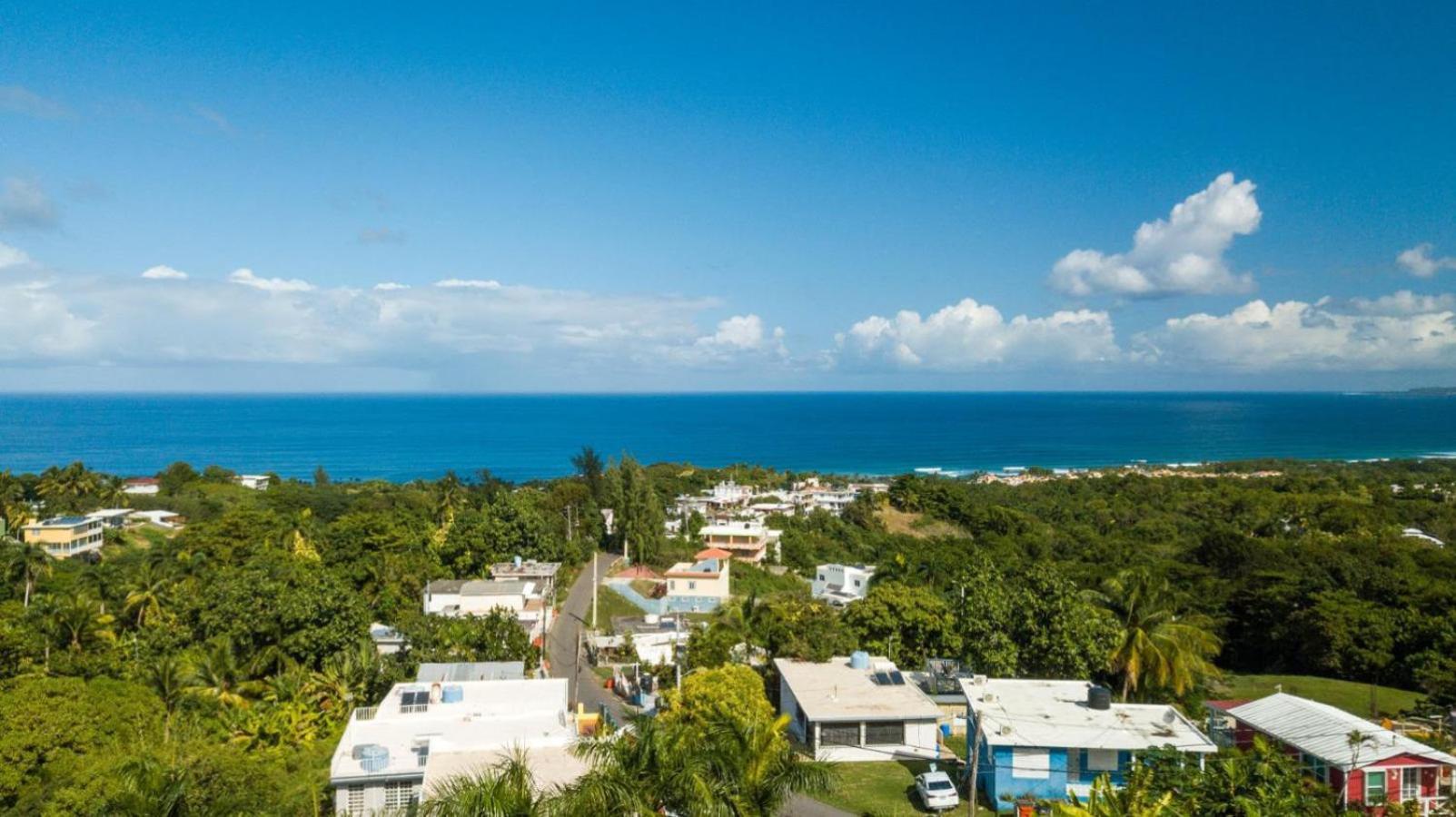 Casita 3 At Ceiba Tree Inn. Tranquility With Garden Views And Pergola With Ocean Overlook 林康 外观 照片